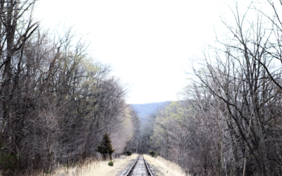The Empire State Trail Connection: Brewster to Hopewell Junction