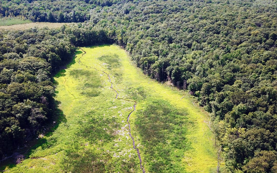Kazmar Pond Dam Removal, Waywayanda