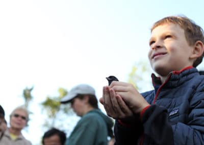 A boy holds a small bird to be released during a bird banding session at the Albany Pine Bush pine barren in Albany, New York.